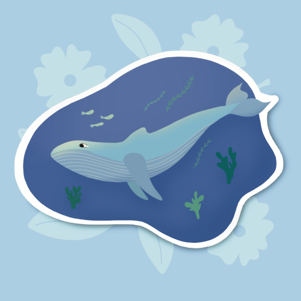 Sticker whale 🐋